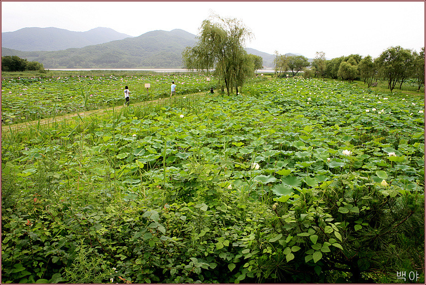 �̹����� Ŭ���ϸ� ������ ���� �� �ֽ��ϴ�.