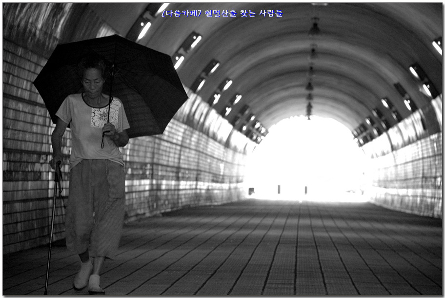 영자다방 이미지