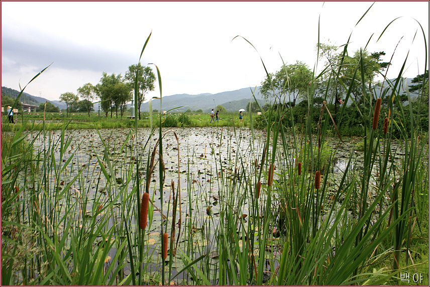 �̹����� Ŭ���ϸ� ������ ���� �� �ֽ��ϴ�.