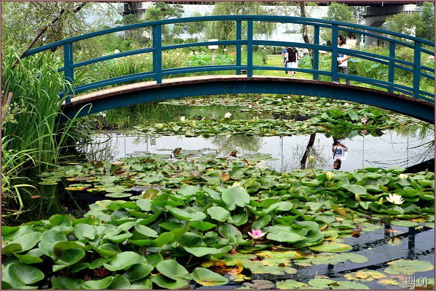 À̹ÌÁö¸¦ Ŭ¸¯ÇÏ¸é ¿øº»À» º¸½Ç ¼ö ÀÖ½À´Ï´Ù.