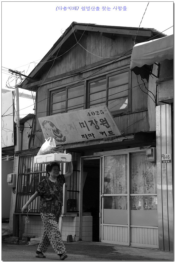 영자다방 이미지