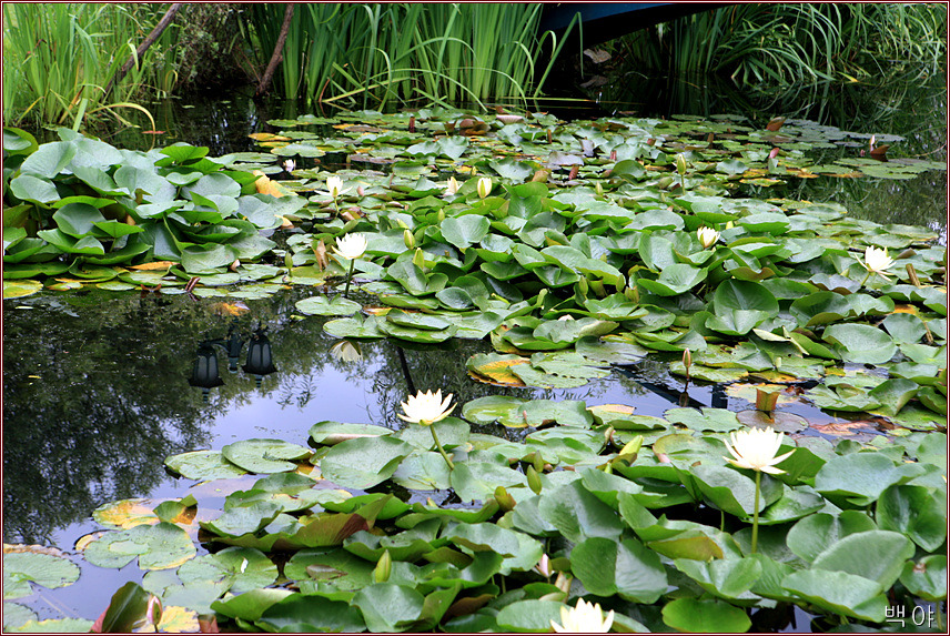 �̹����� Ŭ���ϸ� ������ ���� �� �ֽ��ϴ�.