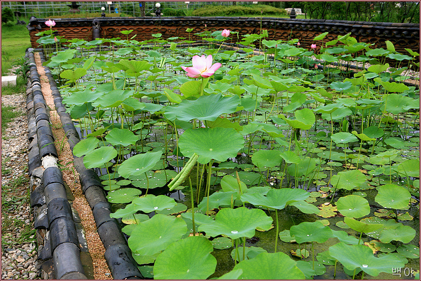 �̹����� Ŭ���ϸ� ������ ���� �� �ֽ��ϴ�.