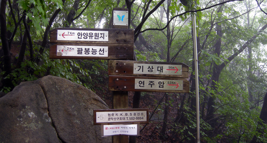 안서초등학교 이미지