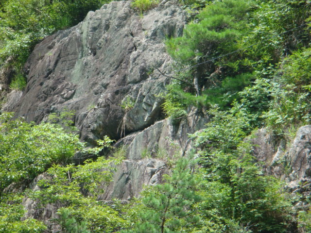 곰바우 이미지