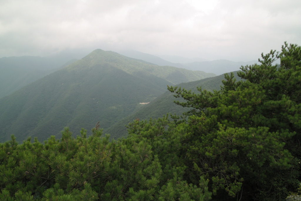 평촌리(하) 이미지