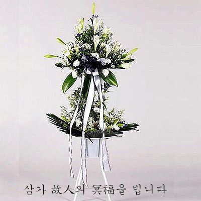 최*진 이미지
